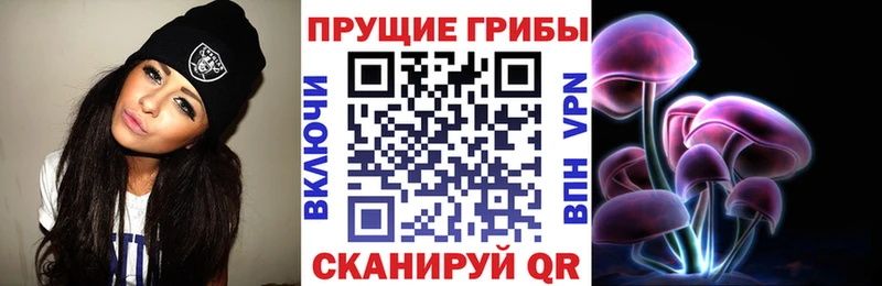 продажа наркотиков Вышний Волочёк Псилоцибиновые грибы мухоморы