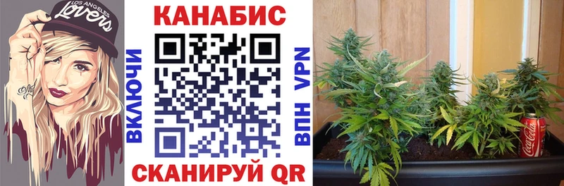 Конопля план  Вышний Волочёк 